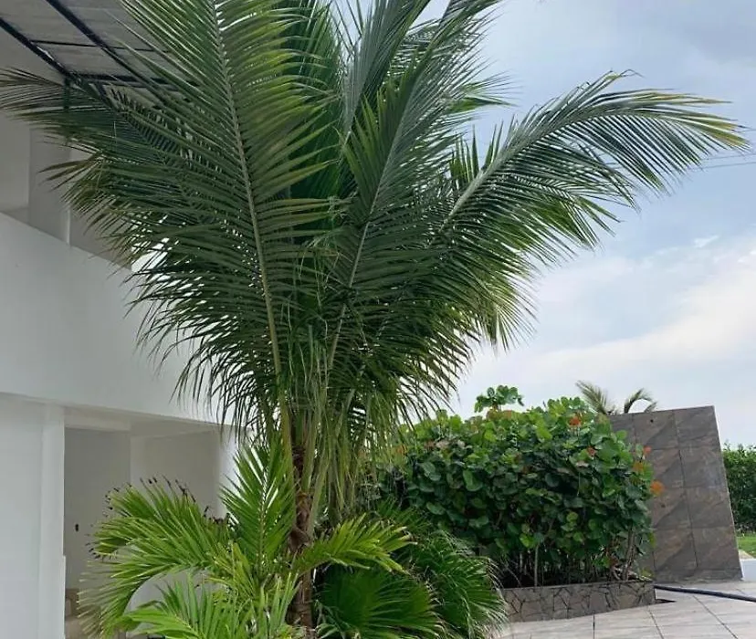 Hotel Villa Del Sol-1